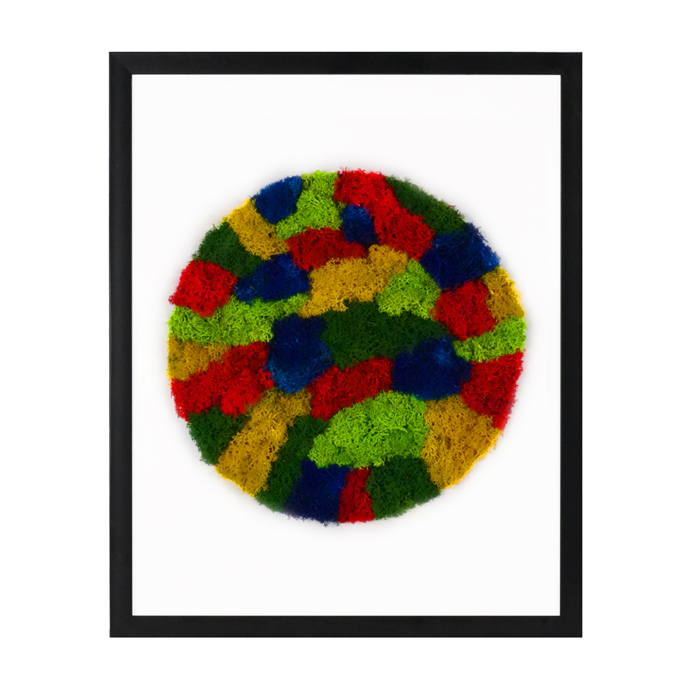 Dairesel Seriler / Harmoni 40x50 cm