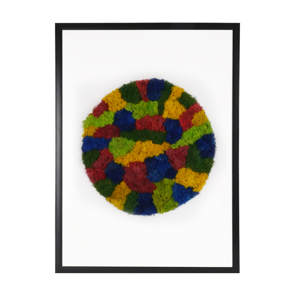 Dairesel Serisi / Harmoni 50x70 cm
