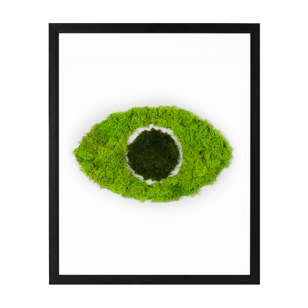 Odak Serisi / Göz 40x50 cm